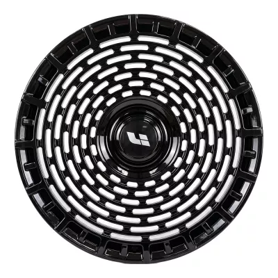 Molineur WT-RGW333