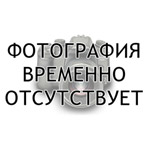 Фотография временно отсутствует